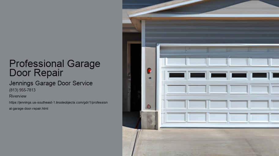 Professional Garage Door Repair 